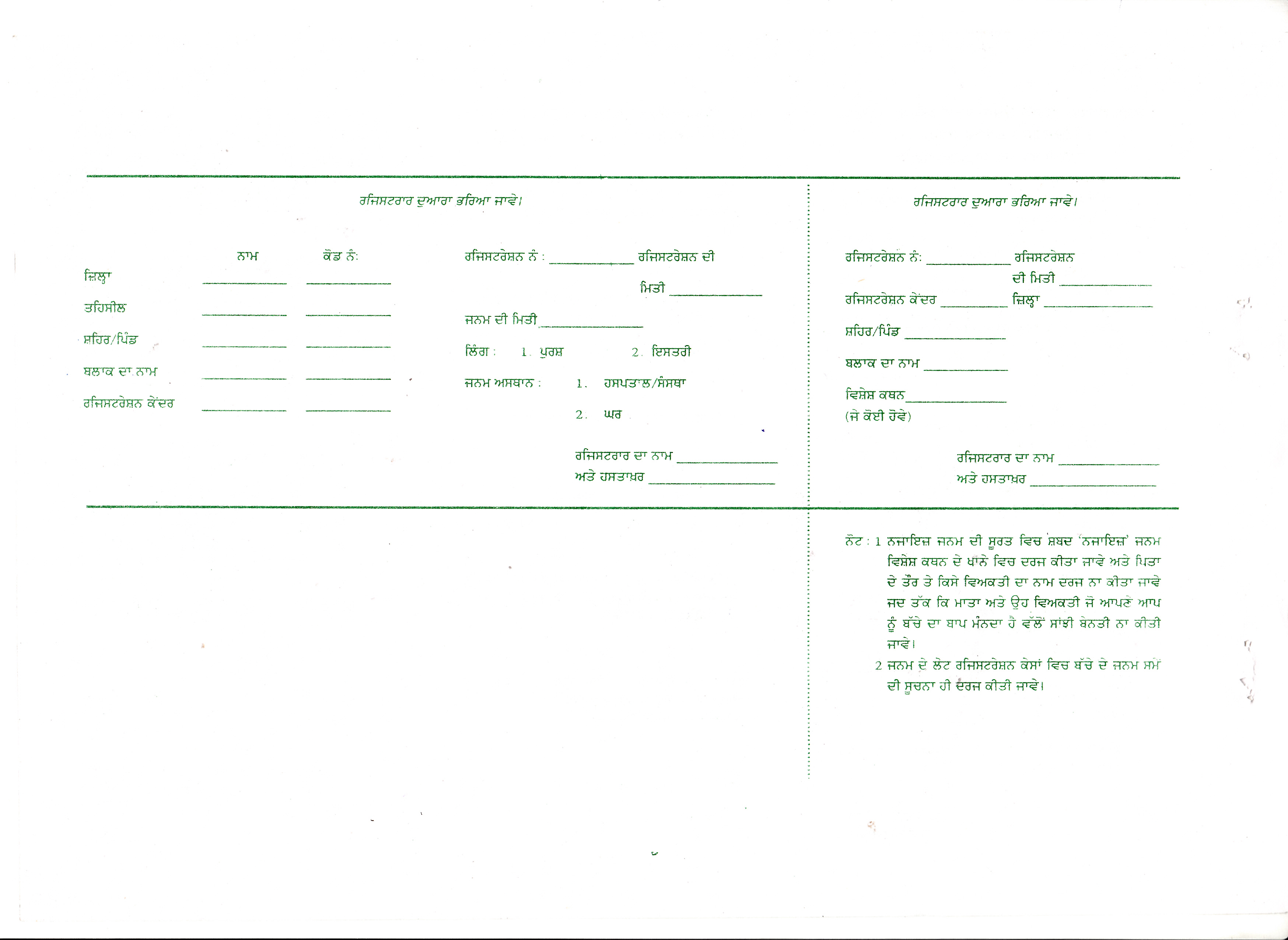 birth certificate template 1800s